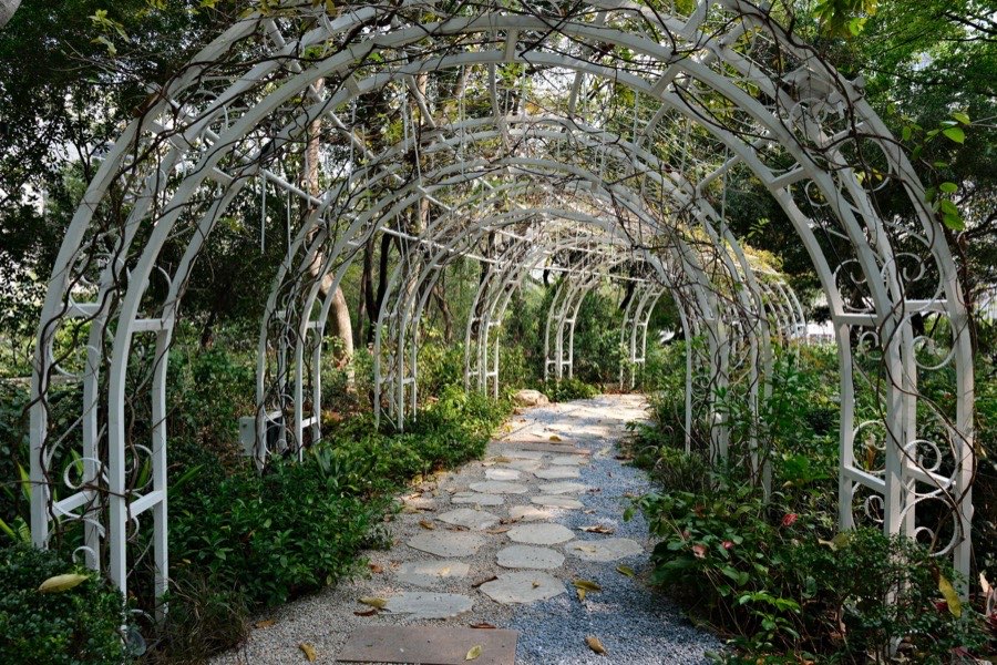 A white metal arbor trellis over a garden pathway
